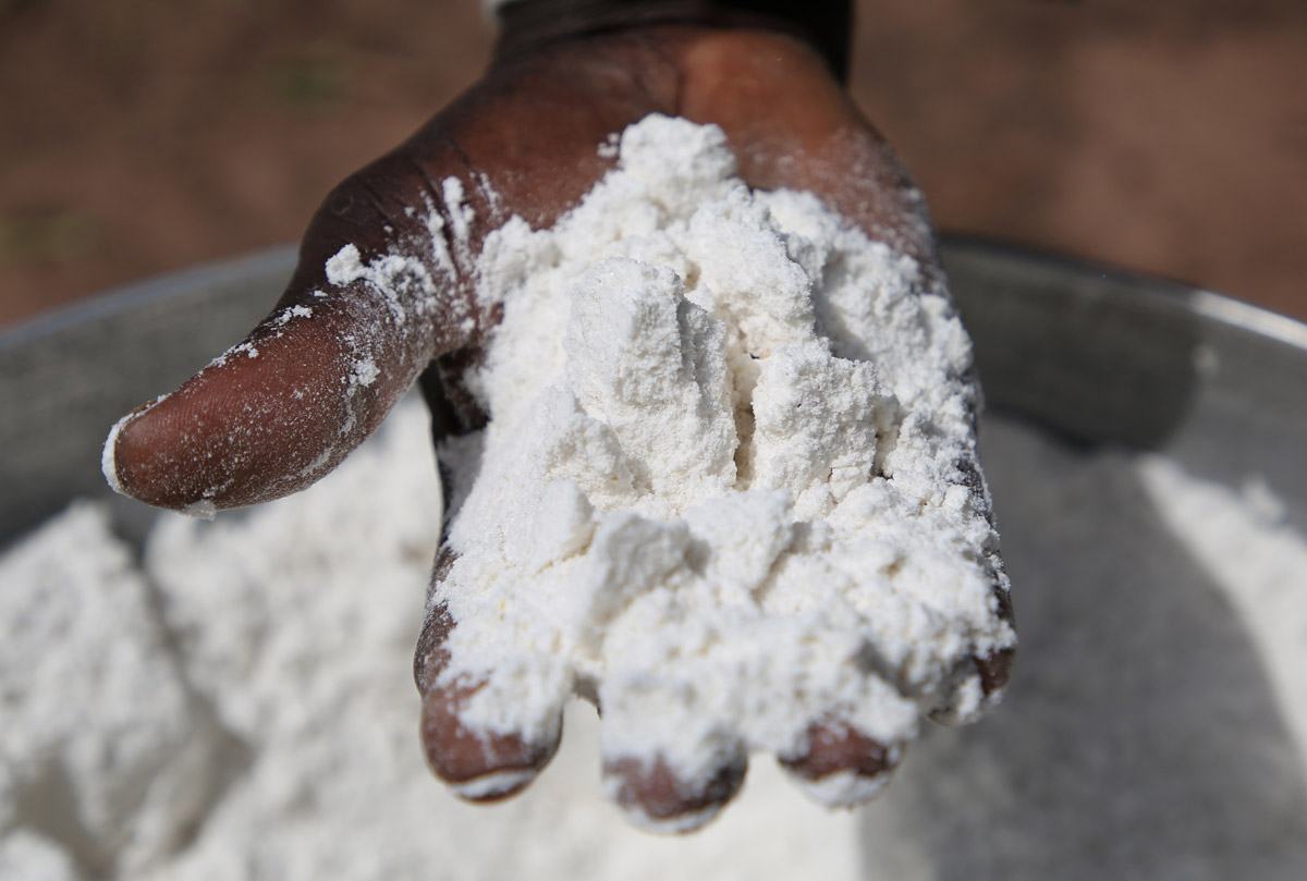 Farine de mil agriculture en Afrique