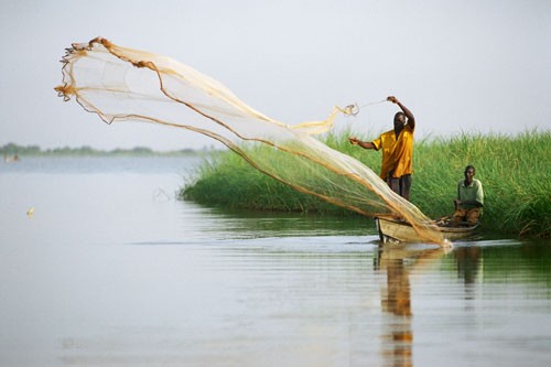 peche_congo