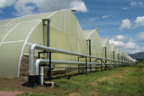 afrique rio+20 eau