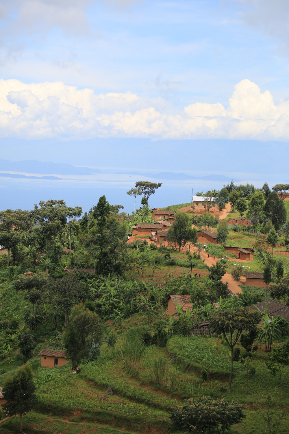 Magnifiques paysages Rwandais, lac Kivu - Crédits photos: Thierry Barbaut