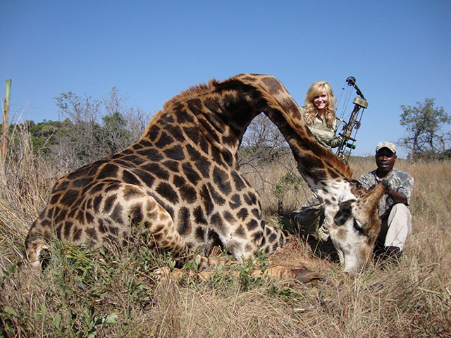 rebecca-francis-girafe-afrique