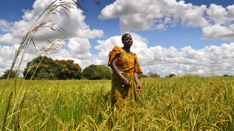 agriculture-afrique