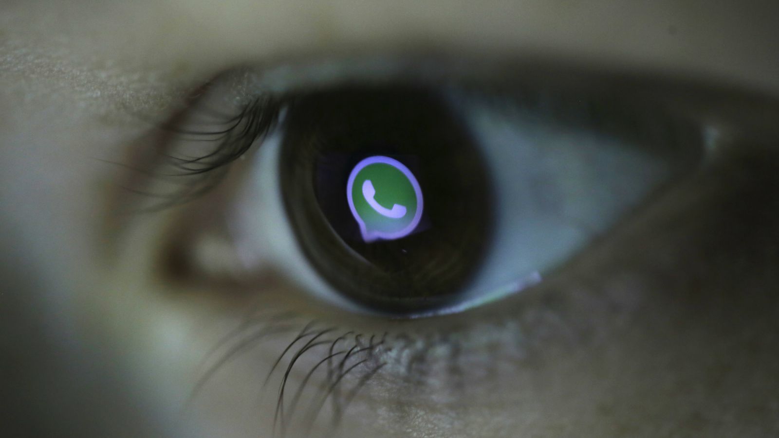 whatsapp Afrique