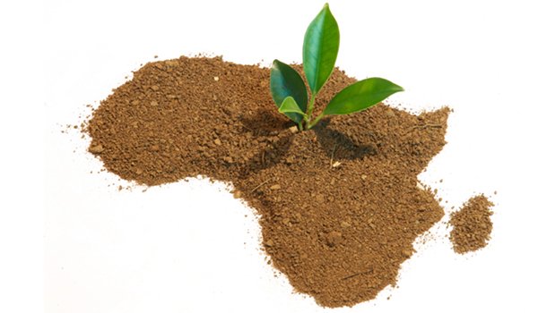 potentiel-agriculture-afrique