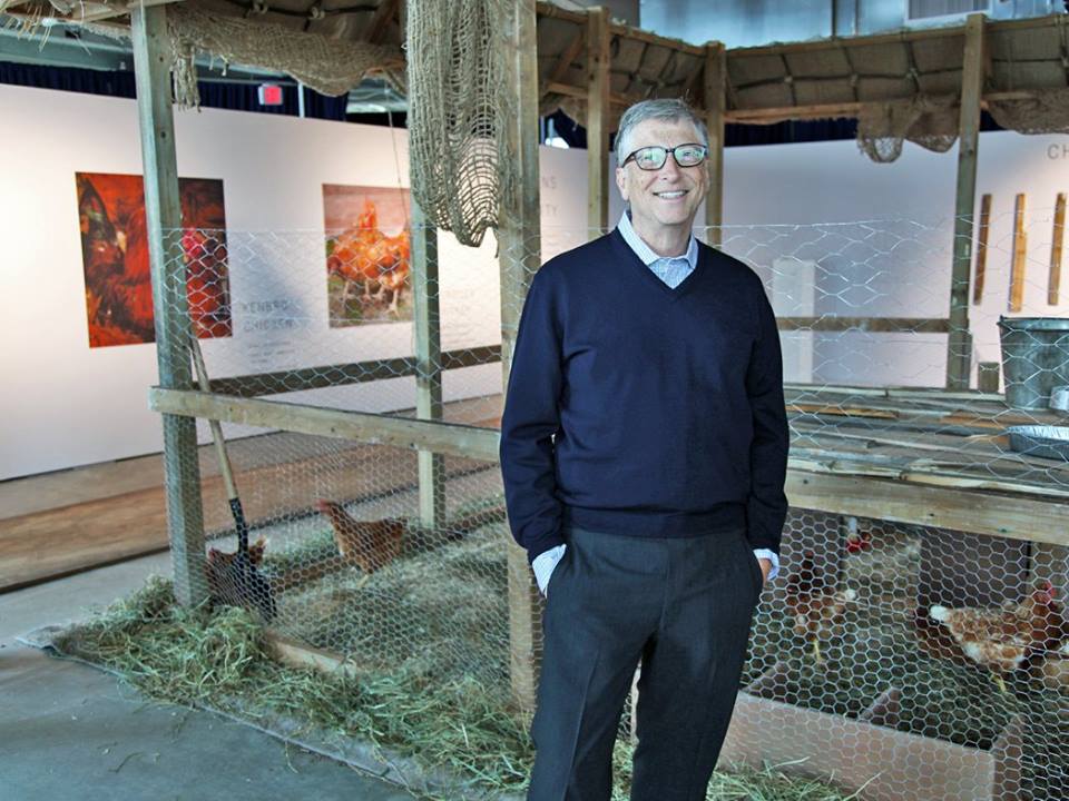 bill-gates-et-les-poules